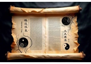 Life Science Concepts in Pre Modern Chinese Medical Classics