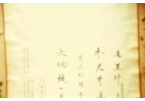 Li Shizhen s Bencao Gangmu Within Chinese Medical Philosophy