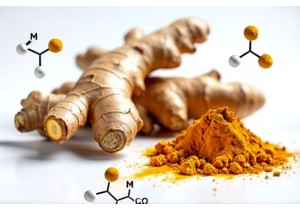 Medicinal Herbs That Enhance Absorption of Nutrients and Support Gut Microbiome