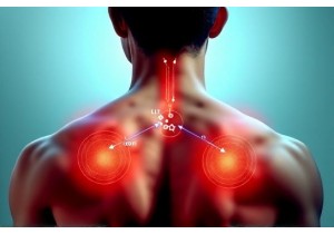 How Cupping Therapy Improves Circulation and Reduces Inflammation