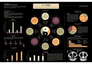 Bian Zheng Lun Zhi The Philosophical Basis of TCM Diagnosis