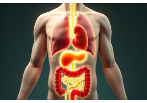 Chinese medicine philosophy views emotions as direct organ influencers