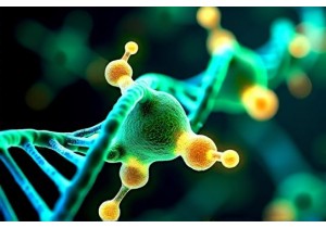 Bioinformatics Tools Unlocking Molecular Insights From Traditional Chinese Medicine Data