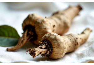 Medicinal Herbs Used in TCM for Headache and Migraine Relief