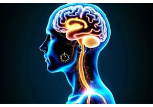 The Philosophical Depth of Jing Luo Channels Beyond Anatomical Mapping