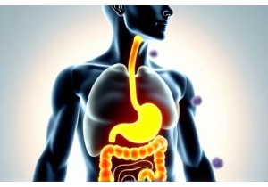 Natural Remedy for Acid Reflux Using Spleen Stomach Harmony