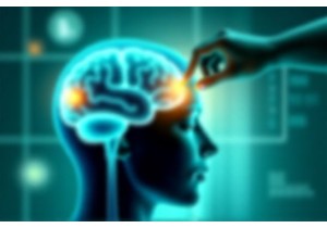 Acupuncture for PTSD and Trauma Recovery Modulating Amygdala Hippocampus Connectivity