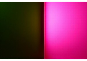 Gentle Detox Foods for Liver and Gallbladder Using Dandelion and Gardenia