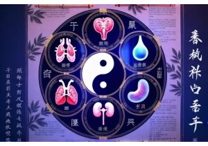 How Five Element Theory Guides Diagnosis Prevention and L...