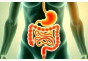 Holistic Solution to Irritable Bowel Syndrome With Liver Spleen Coordination