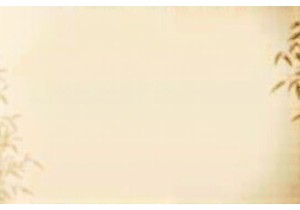Ancient Wisdom Classical Pulse Diagnosis as Philosophical...
