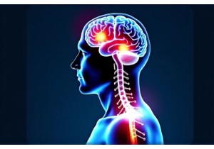 Acupuncture Therapy Activates Endogenous Opioids for Natu...
